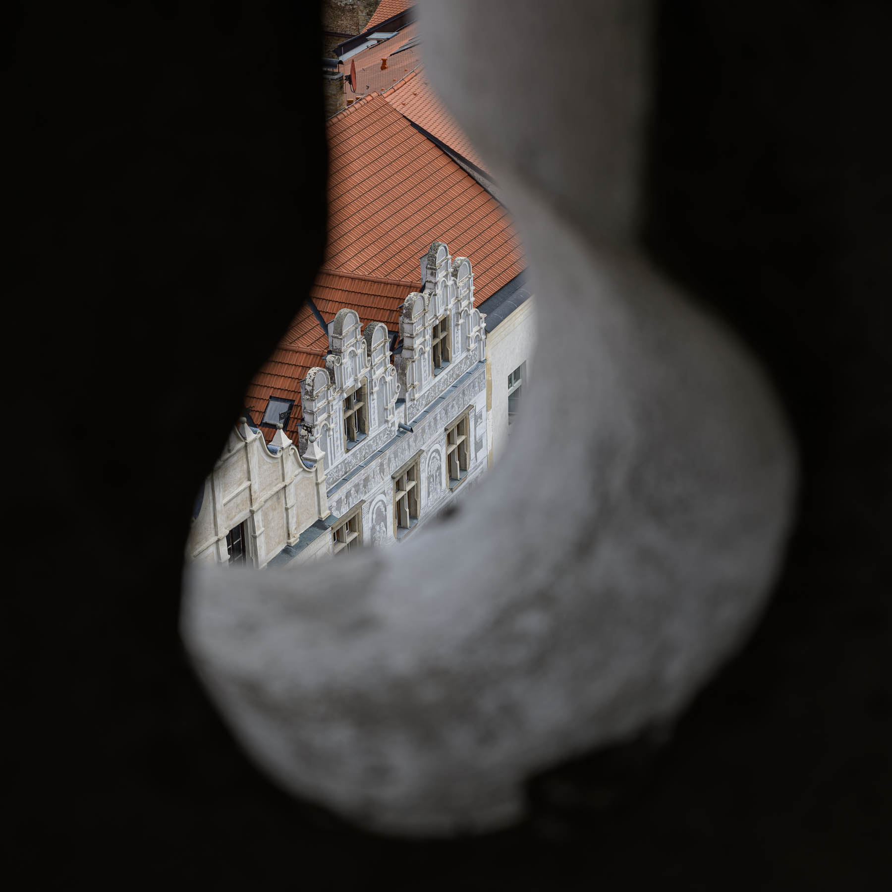 DSC_6620