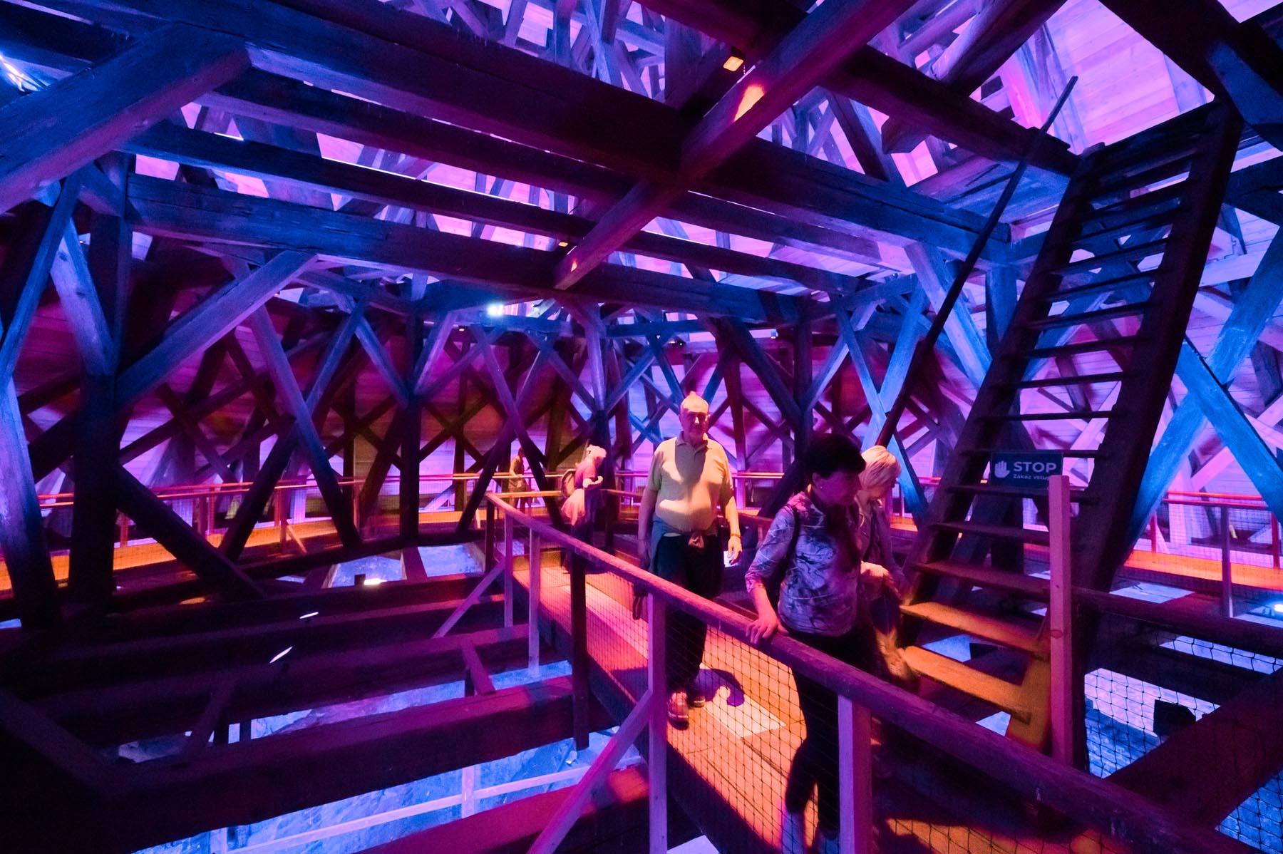 DSC_2650