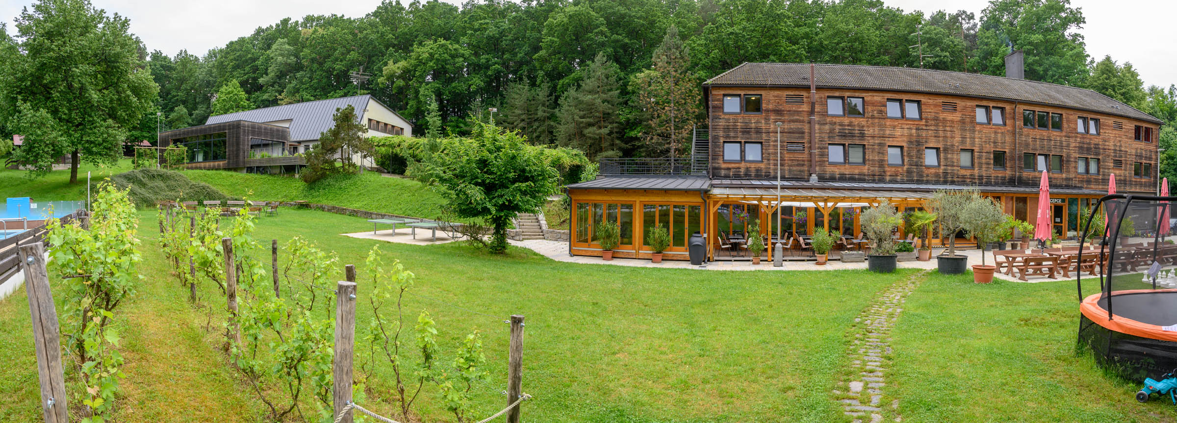 DSC_3127-Panorama