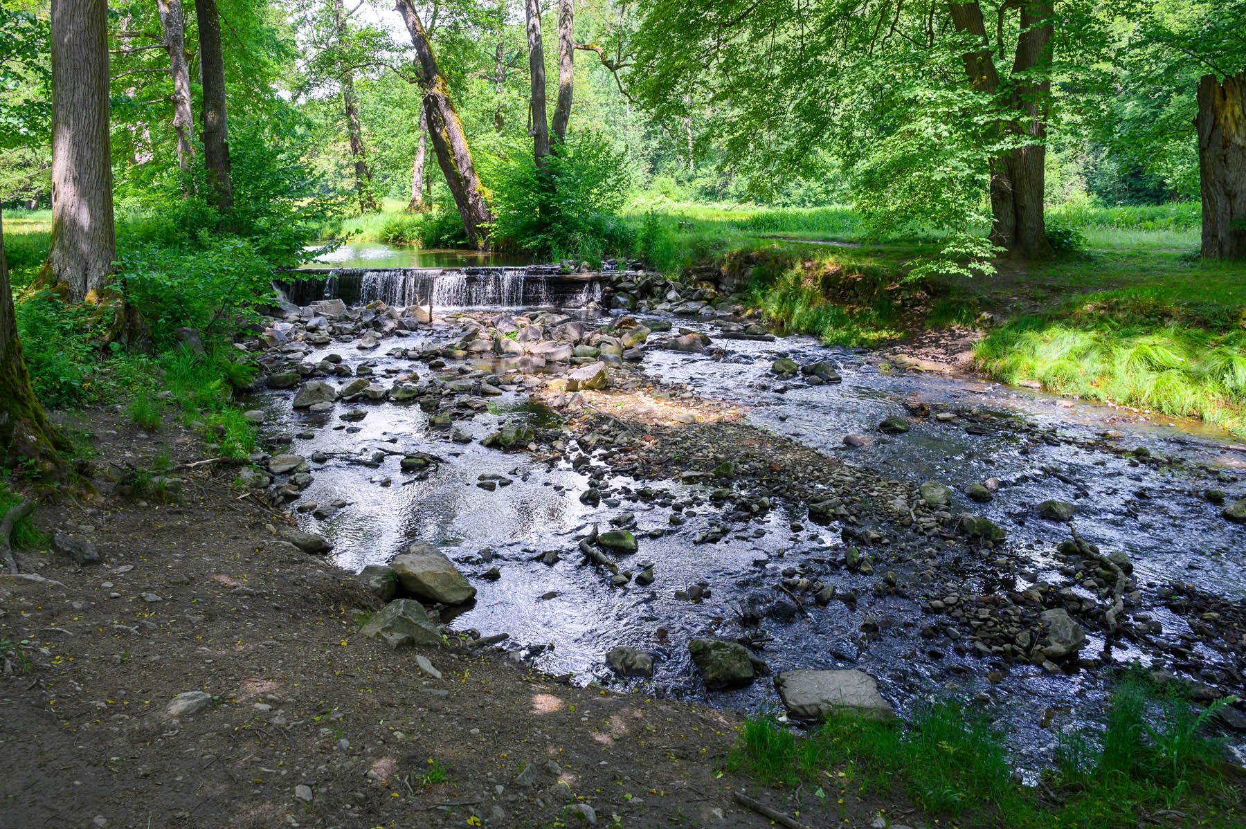 DSC_3189