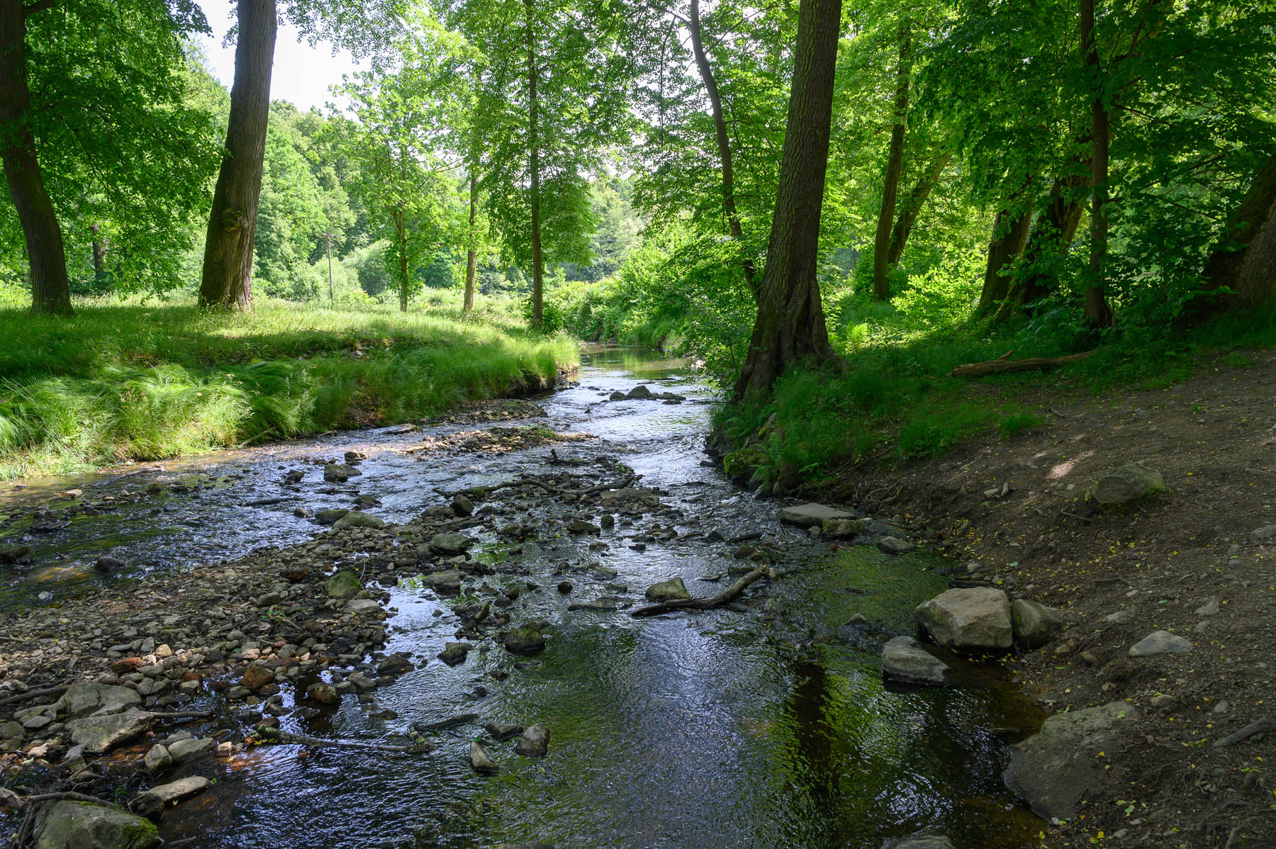 DSC_3190