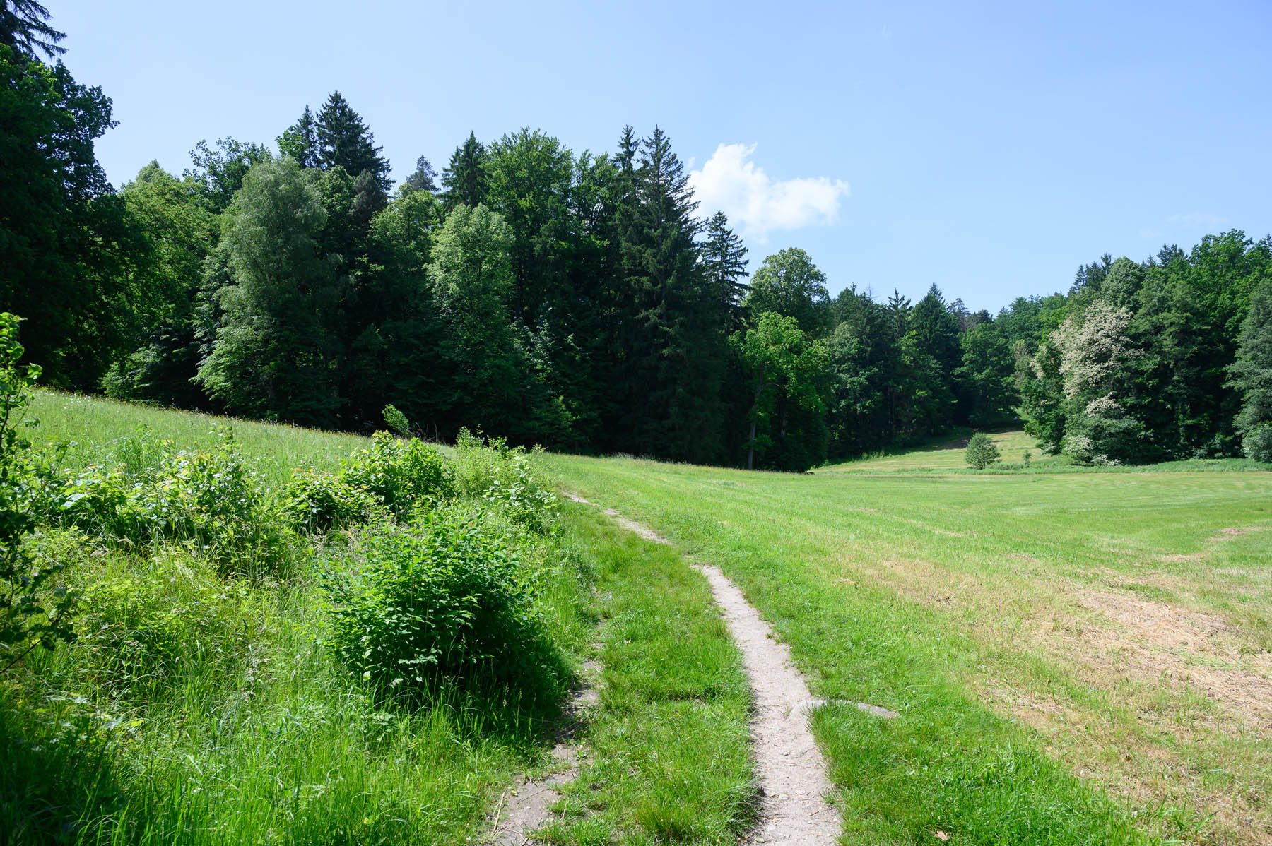DSC_3207