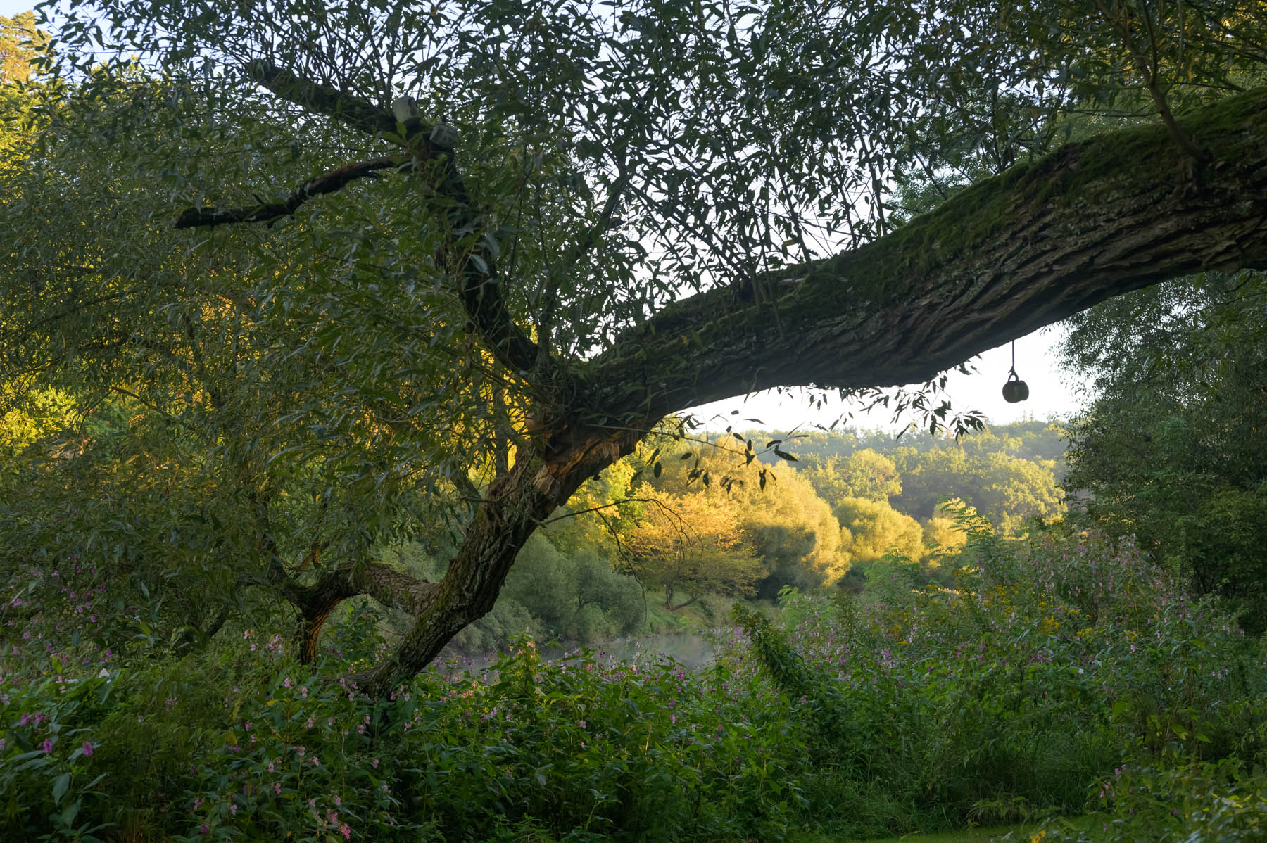 DSC_6381