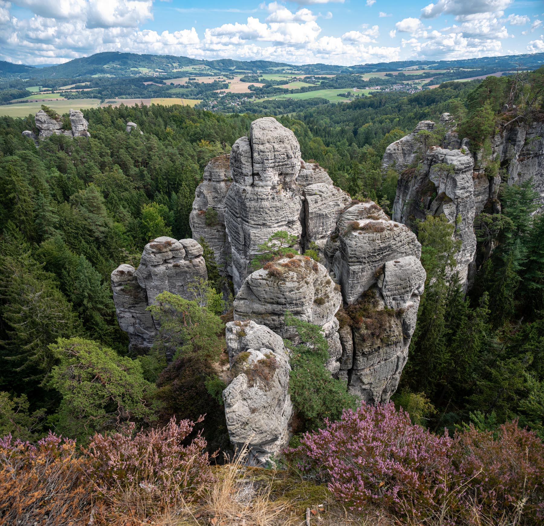 DSC_4553-Panorama
