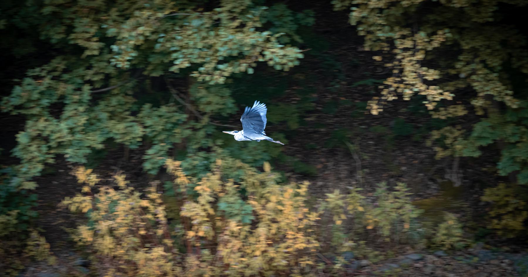 DSC_6702