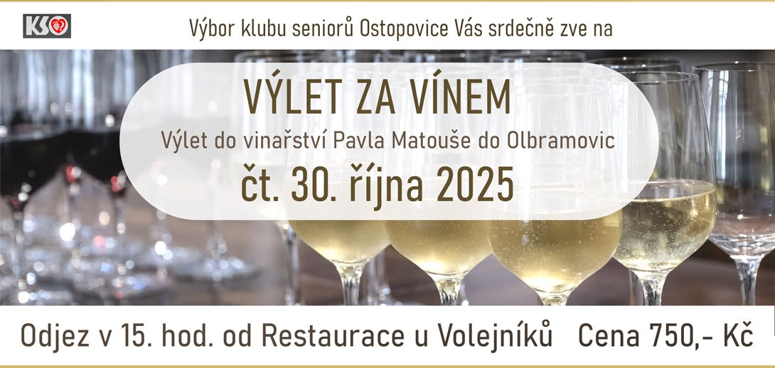 p_2510_vila_za_vinem_1090.jpg